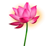 Chant as Sādhana